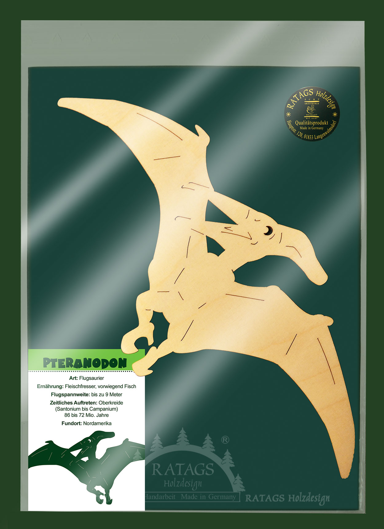 Fensterbild, Saurier, Pteranodon Fensterbild, Saurier, Pteranodon