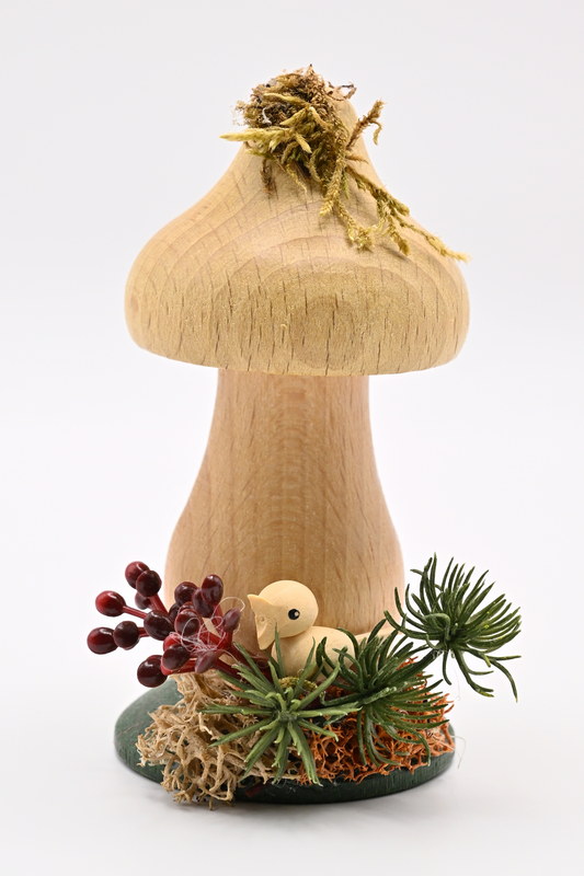 Räucherpilz, Orangenschleierling, helle Kappe, Vogel Räucherpilz, Orangenschleierling, helle Kappe, Vogel