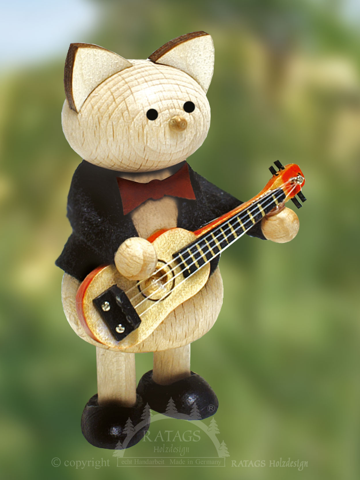 Katze mit Gitarre